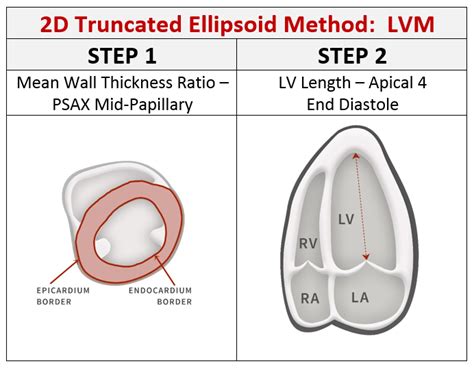 lv mass|what is lv mass 2d.